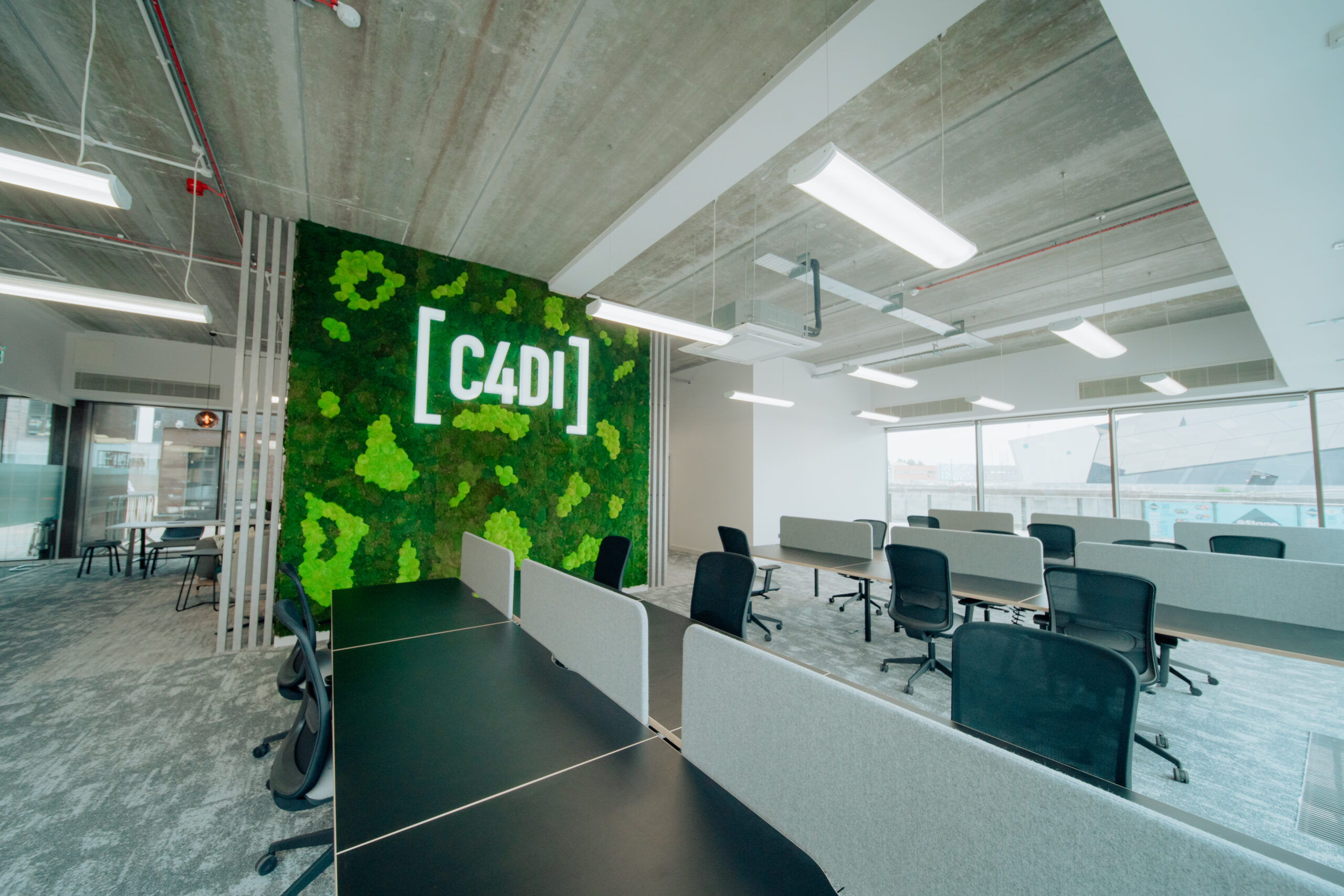 CDI New Co working