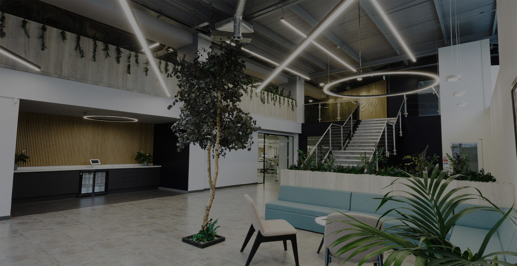 swfit dental