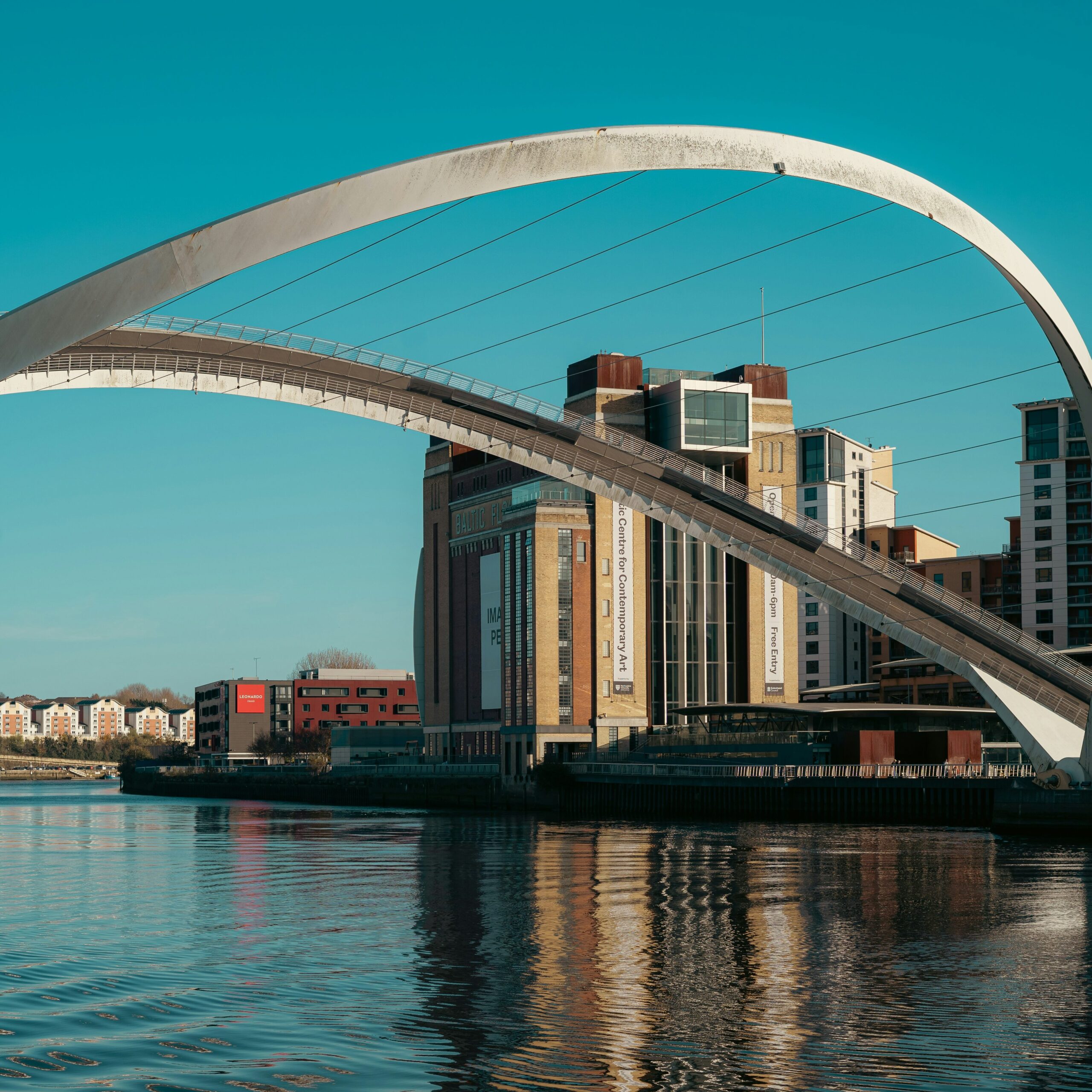 Newcastle Location Chameleon scaled aspect ratio