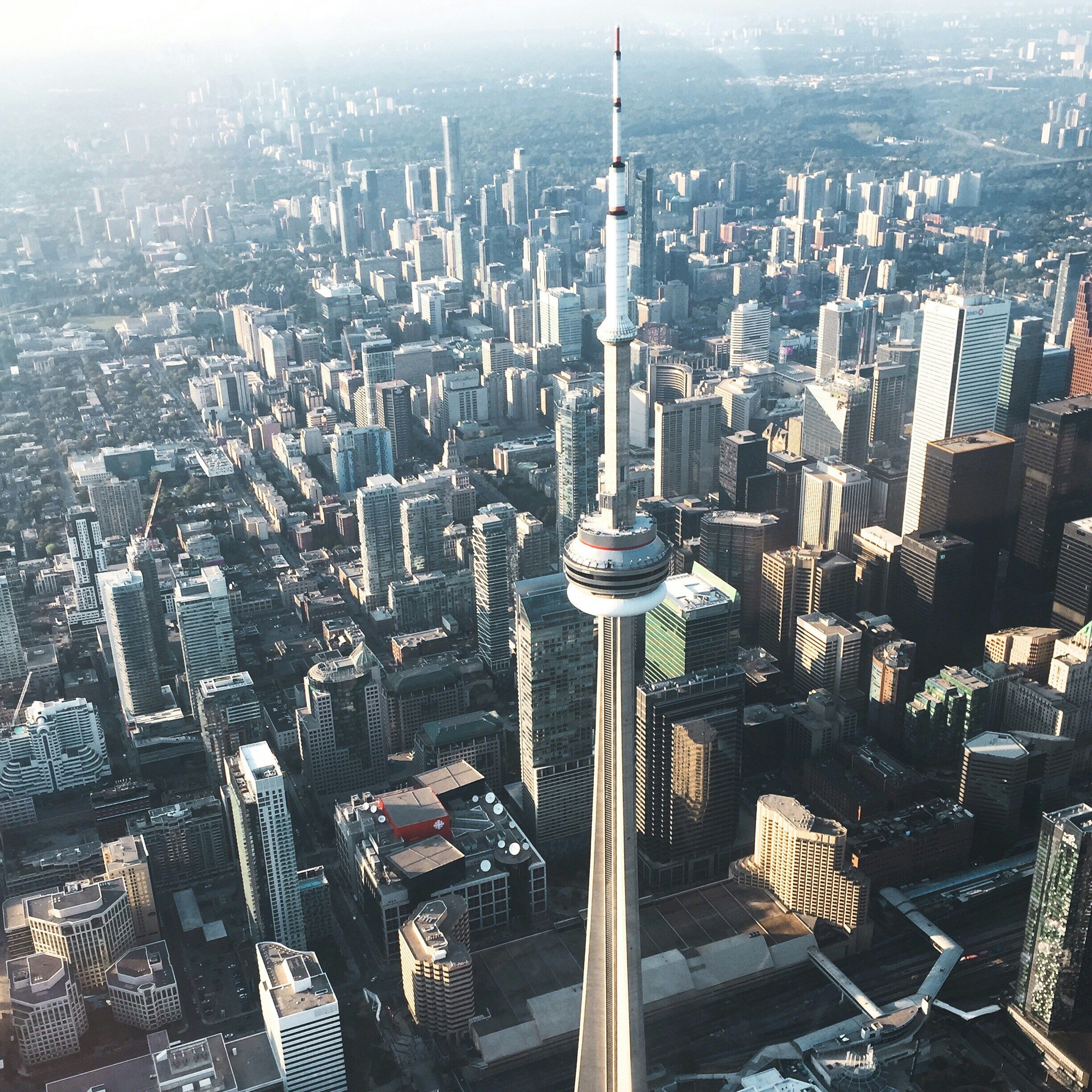 Toronto Location Chameleon scaled aspect ratio